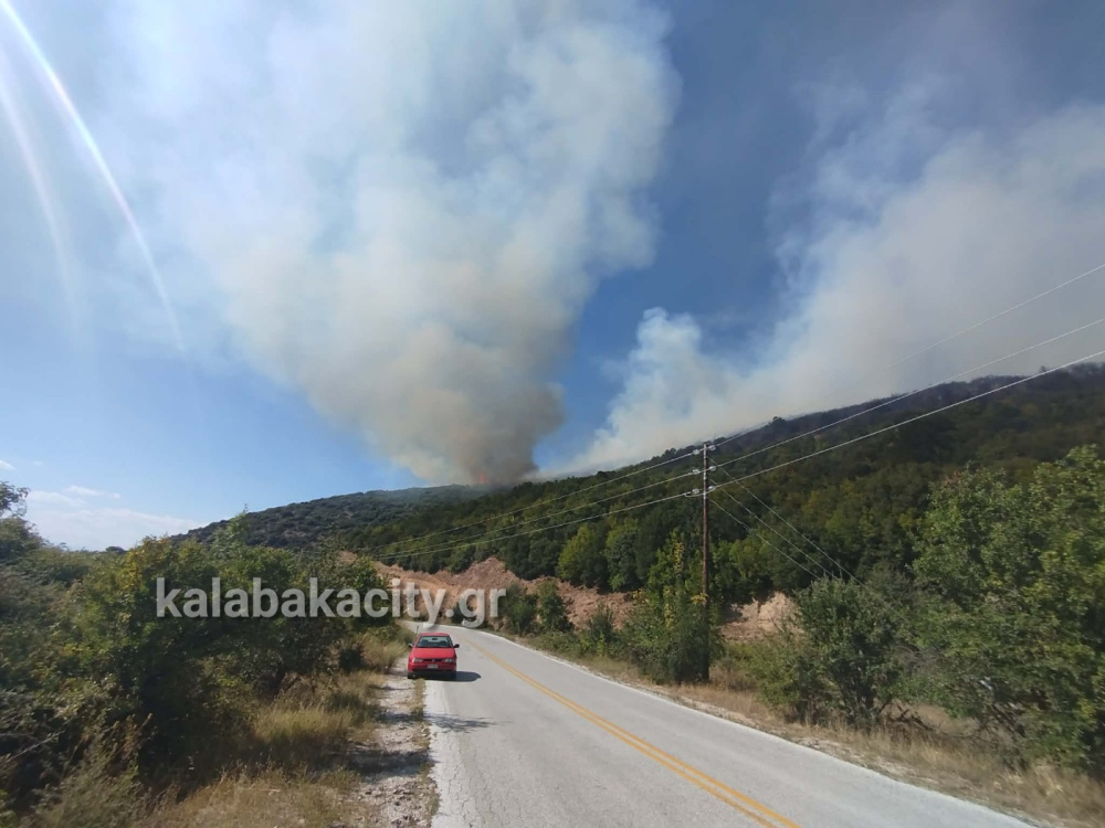 Φωτιά σε περιοχή της Δεσκάτης – Σε εξέλιξη η επιχείρηση κατάσβεσης