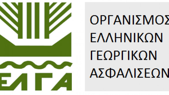 ΕΛΓΑ: Ολοκληρώθηκαν οι πληρωμές αποζημιώσεων του 2025 Καταβλήθηκαν 6.617.425 € σε 5.201 παραγωγούς