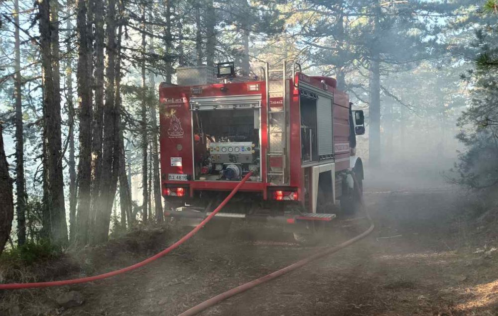 Πεύκη Καλαμπάκας: Άμεση κινητοποίηση της Πυροσβεστικής για πυρκαγιά