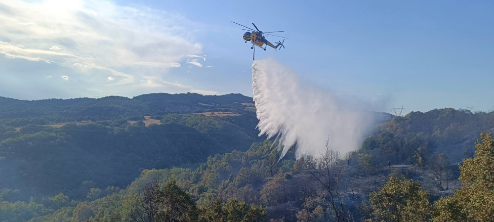 Ο πρόεδρος του Αγιοφύλλου Θύμιος Καραγιάννης για την φωτιά στην περιοχή