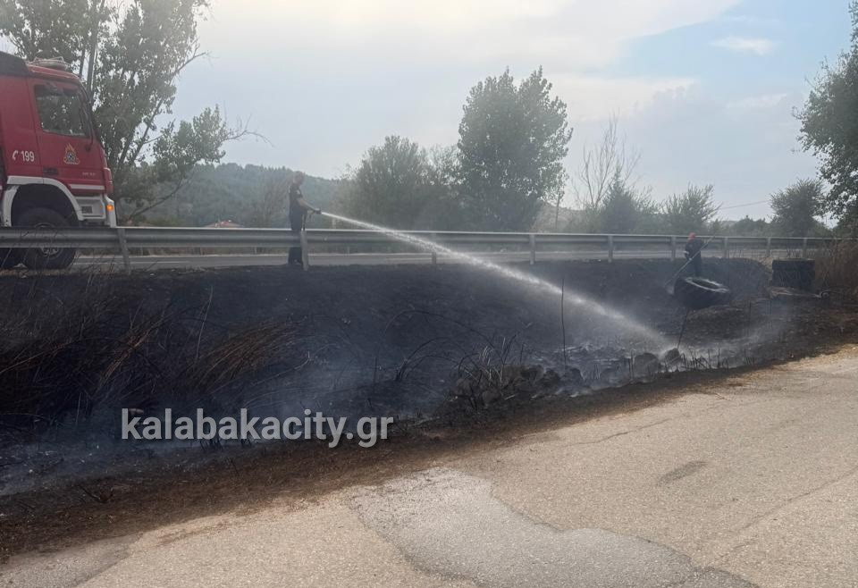 Βασιλική: Φωτιά στην Εθνική Οδό Καλαμπάκας – Τρικάλων, άμεση η κινητοποίηση της Πυροσβεστικής της Πολιτικής Προστασίας
