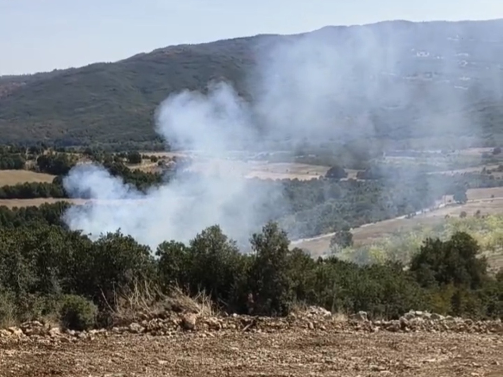 Καλαμπάκα: Φωτιά στην περιοχή της Αχλαδέας